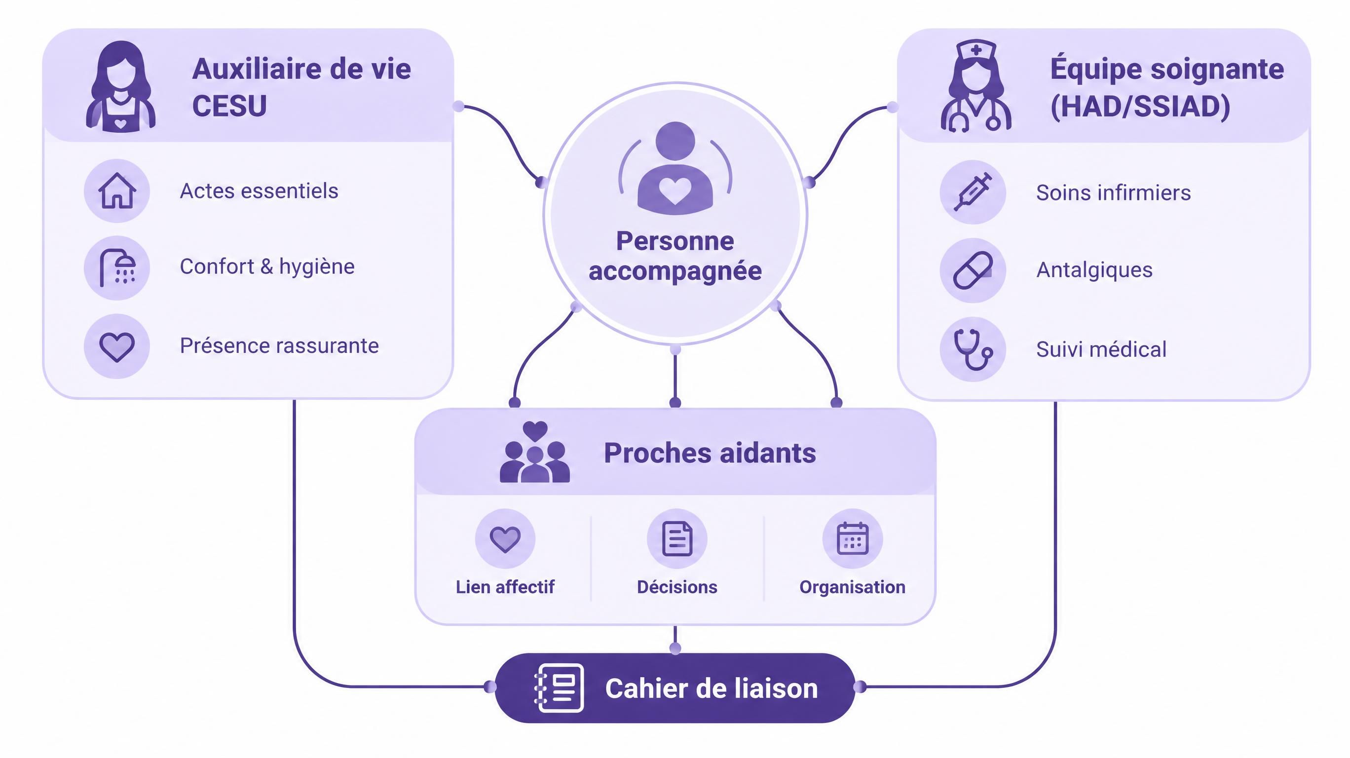 Schéma explicatif de la coordination entre auxiliaire de vie, équipe médicale et proches en soins palliatifs à domicile
