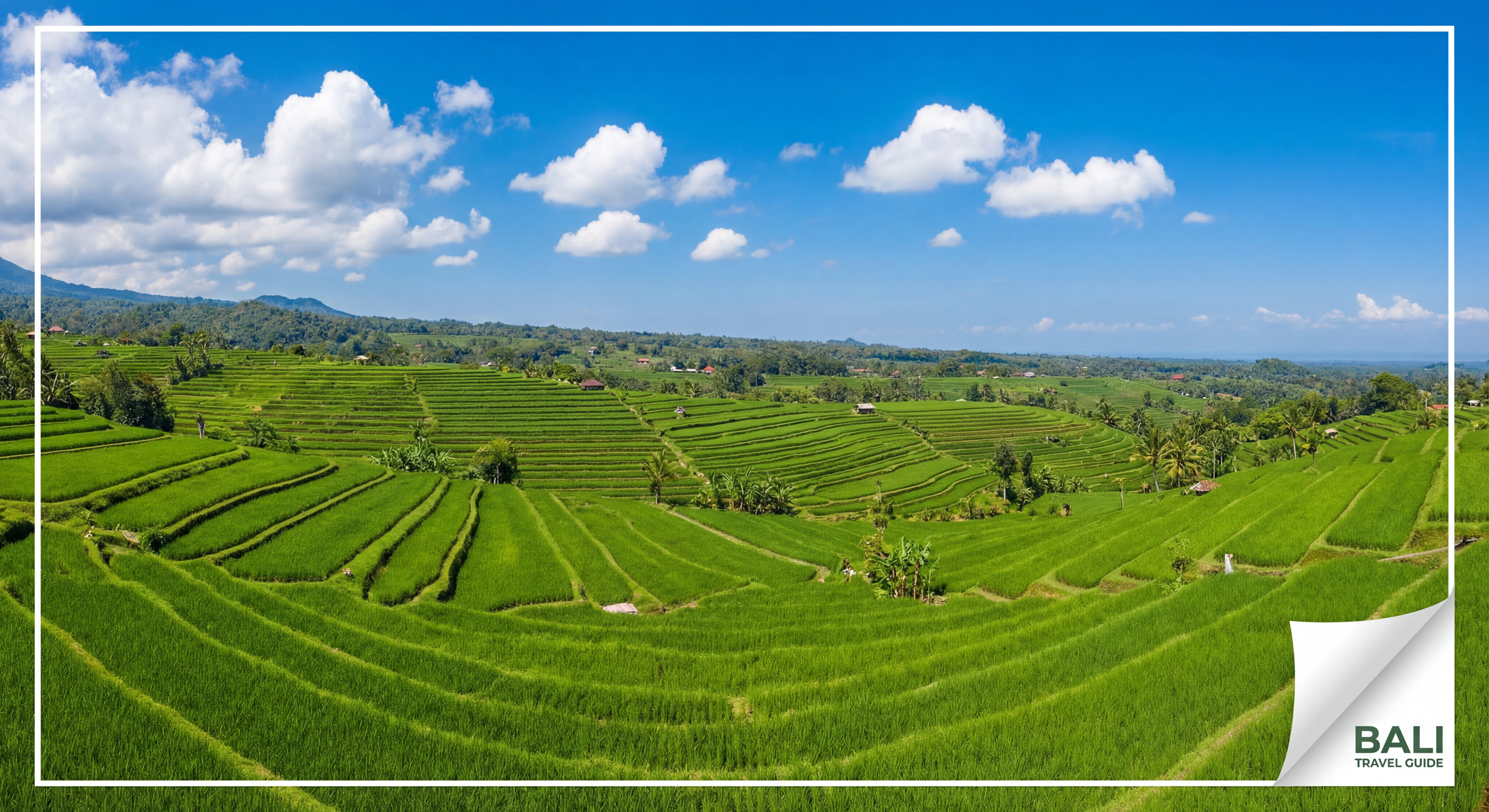 Vue aérienne des rizières en terrasses de Jatiluwih à Bali avec un ciel bleu et des nuages blancs