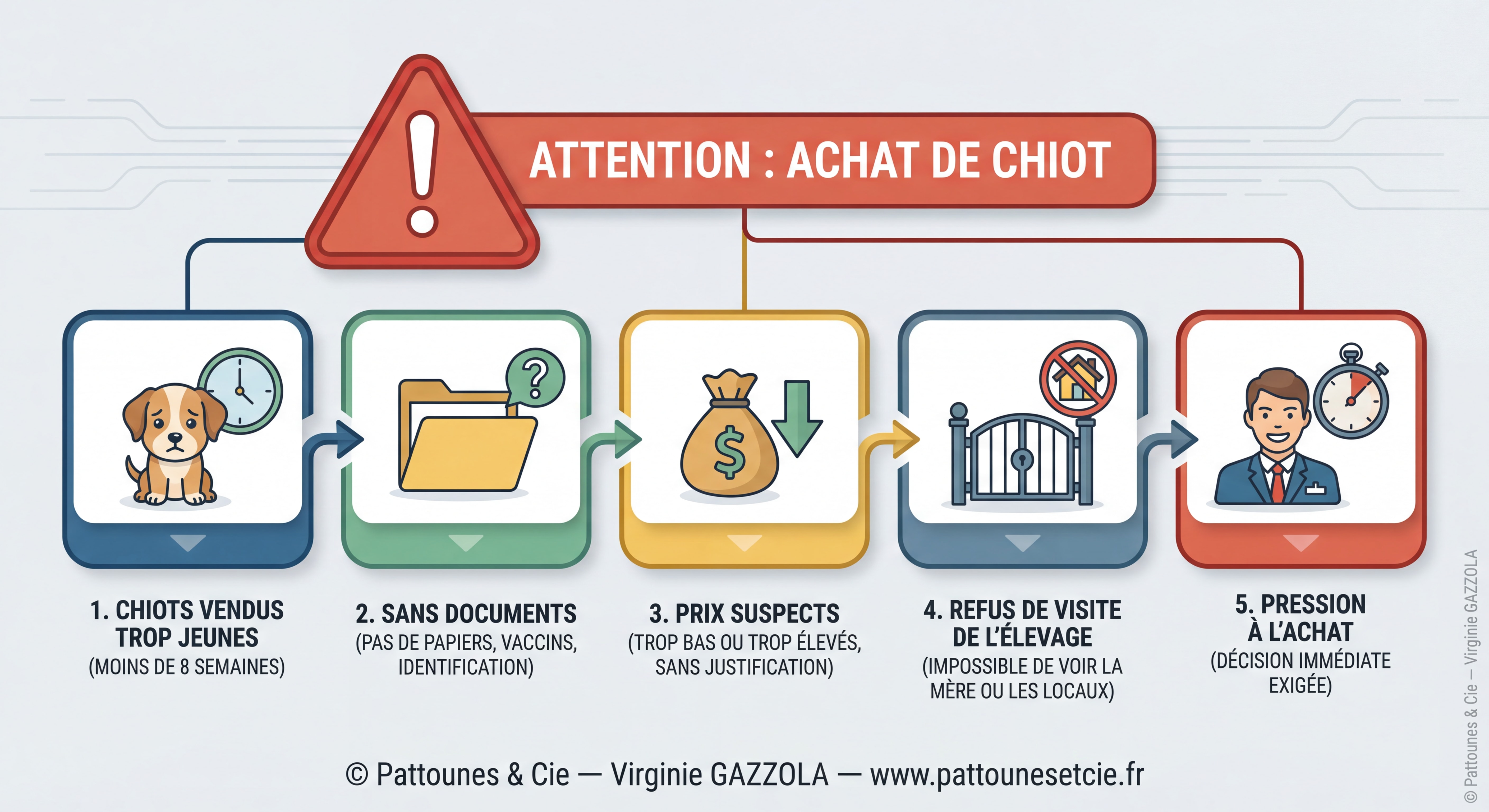 Panneau d'avertissement rouge et infographie visuelle des red flags à éviter lors de l'achat d'un chiot — chiots vendus trop jeunes, sans documents, prix suspects, refus de visite de l'élevage, pression à l'achat — style illustration pédagogique professionnelle — filigrane © Pattounes & Cie — Virginie GAZZOLA — signature © Pattounes & Cie — Virginie GAZZOLA — www.pattounesetcie.fr