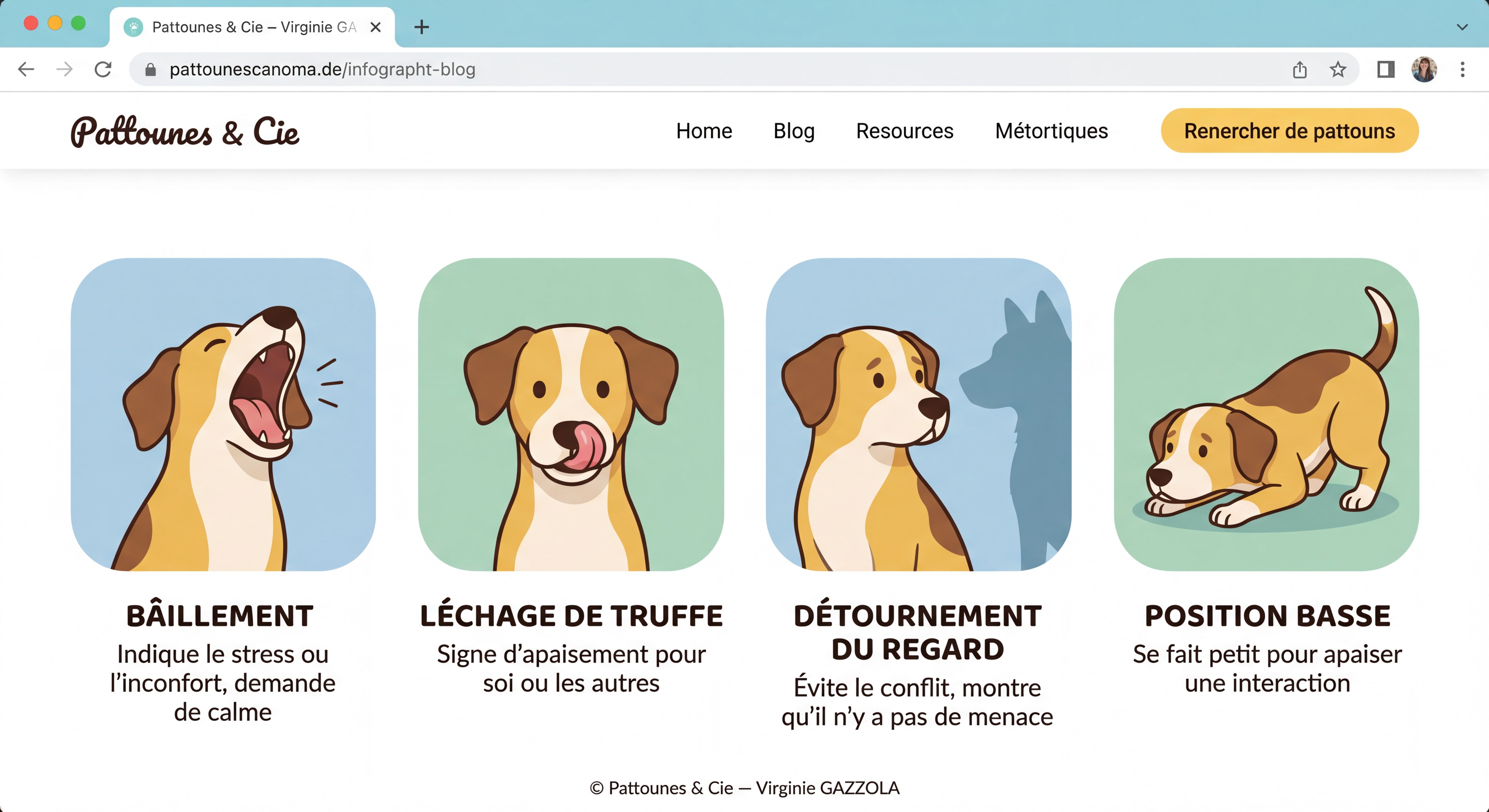 Infographie illustrée et colorée présentant les principaux signaux d'apaisement du chien — bâillement, léchage de truffe, détournement du regard, position basse — © Pattounes & Cie — Virginie GAZZOLA