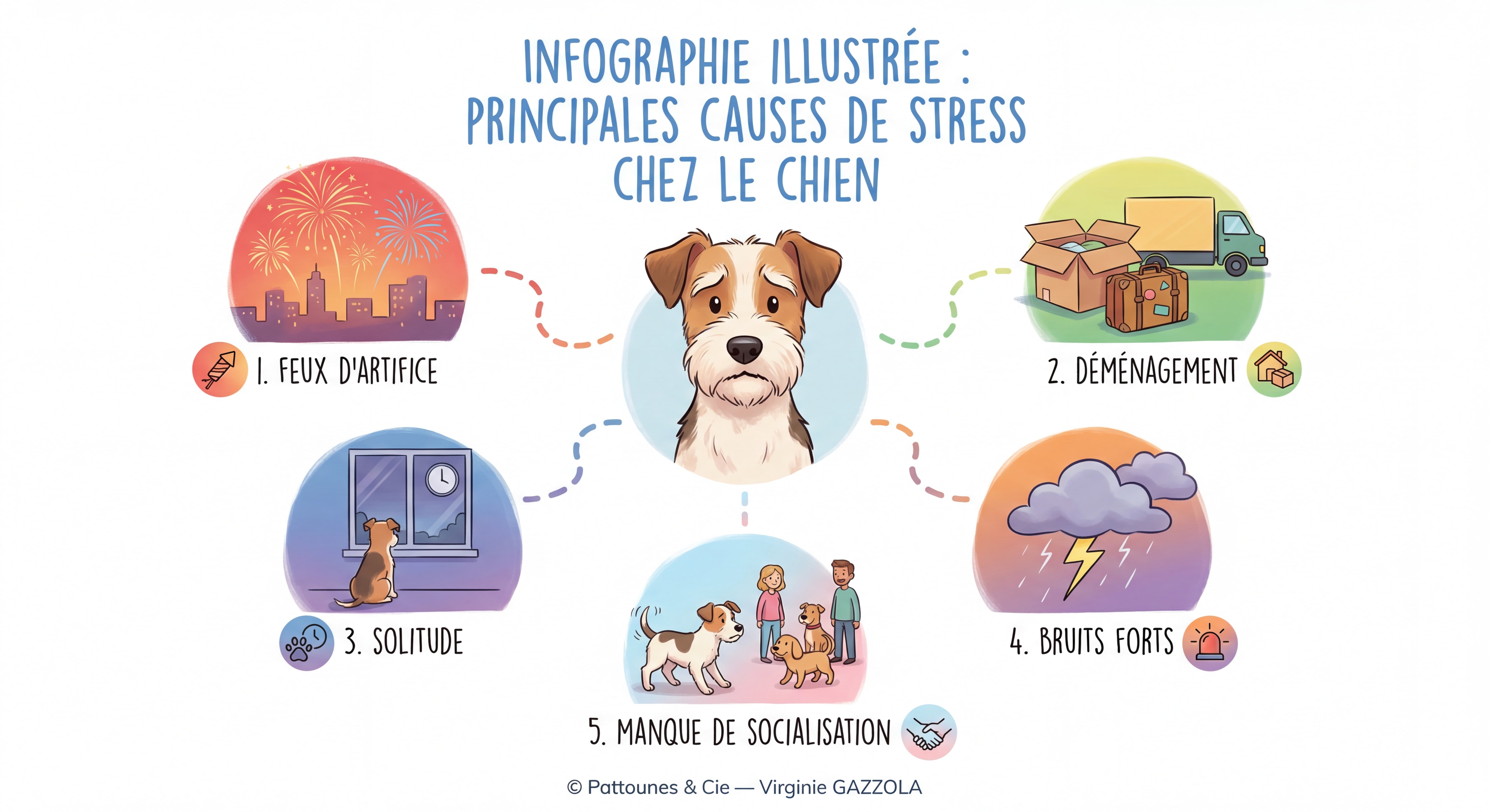 Infographie illustrée et colorée listant les principales causes de stress chez le chien — feux d'artifice, déménagement, solitude, bruits forts, manque de socialisation — © Pattounes & Cie — Virginie GAZZOLA