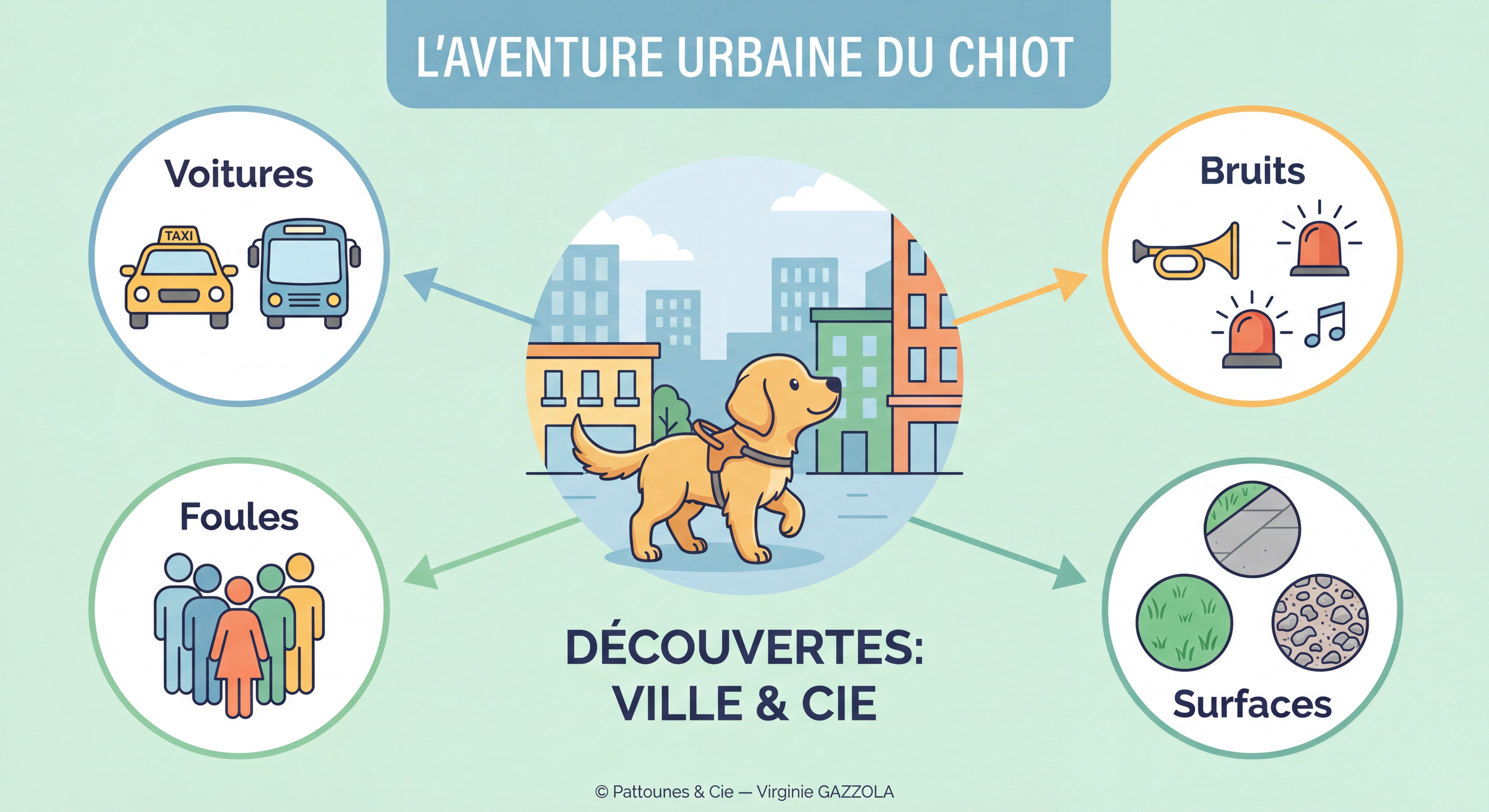 Infographie colorée illustrant un chiot en ville découvrant des voitures, des bruits, des foules et différentes surfaces de marche, avec des icônes thématiques — © Pattounes & Cie — Virginie GAZZOLA