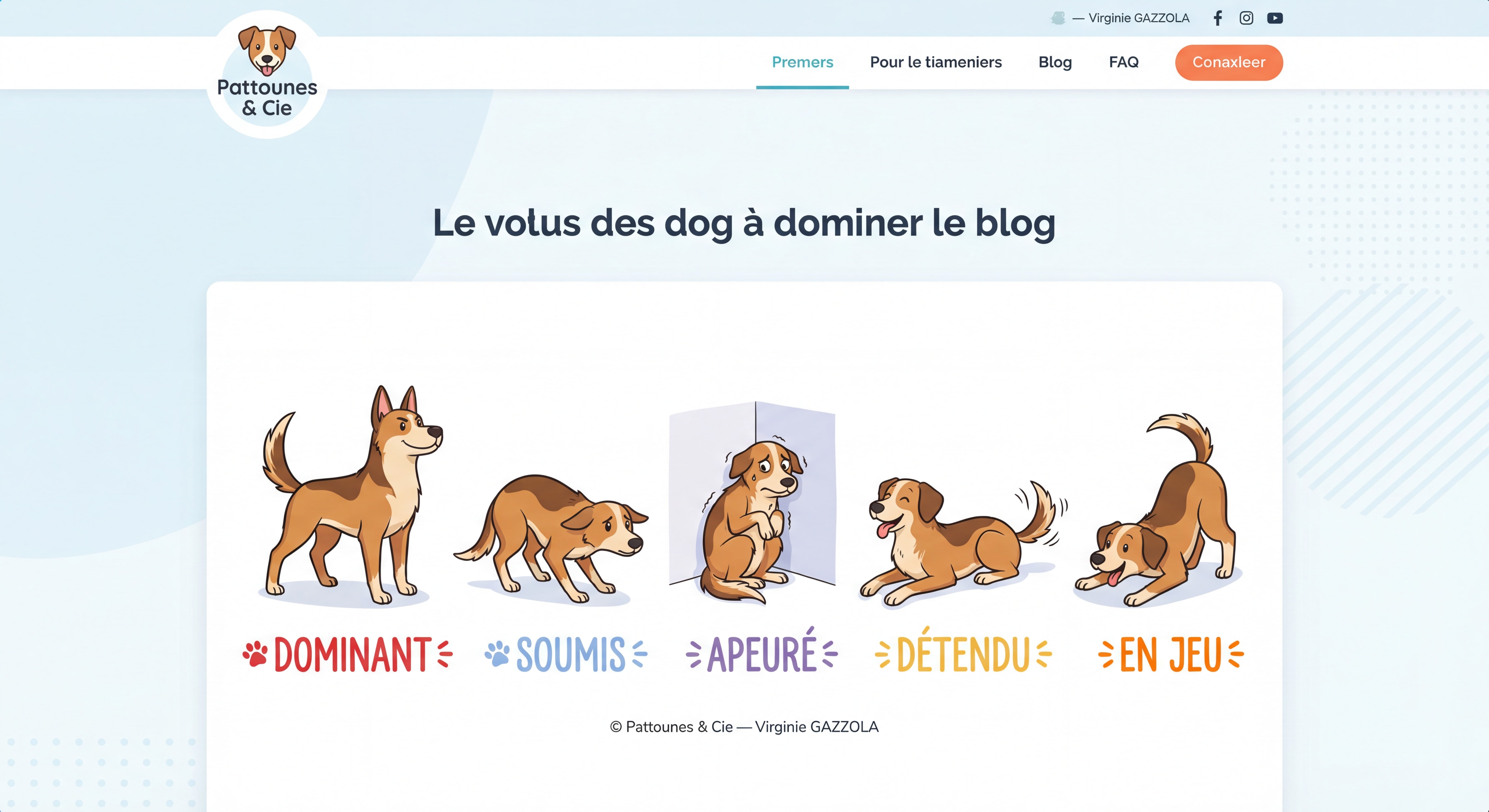 Infographie illustrée et colorée des différentes postures du chien — dominant, soumis, apeuré, détendu, en jeu — avec légendes colorées — © Pattounes & Cie — Virginie GAZZOLA