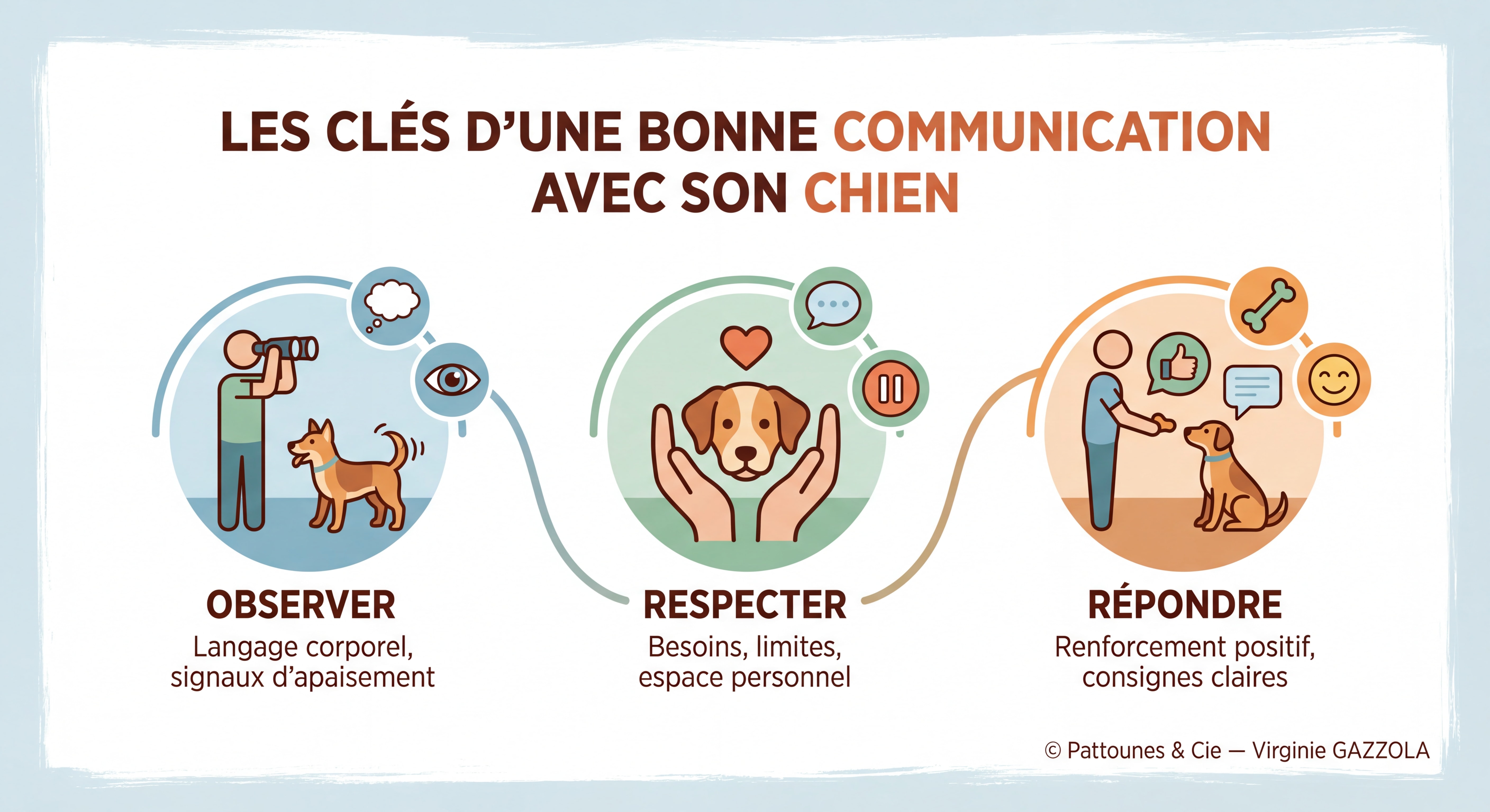 Infographie illustrée et colorée résumant les clés d'une bonne communication avec son chien — observer, respecter, répondre — avec icônes colorées et charte graphique harmonieuse — © Pattounes & Cie — Virginie GAZZOLA