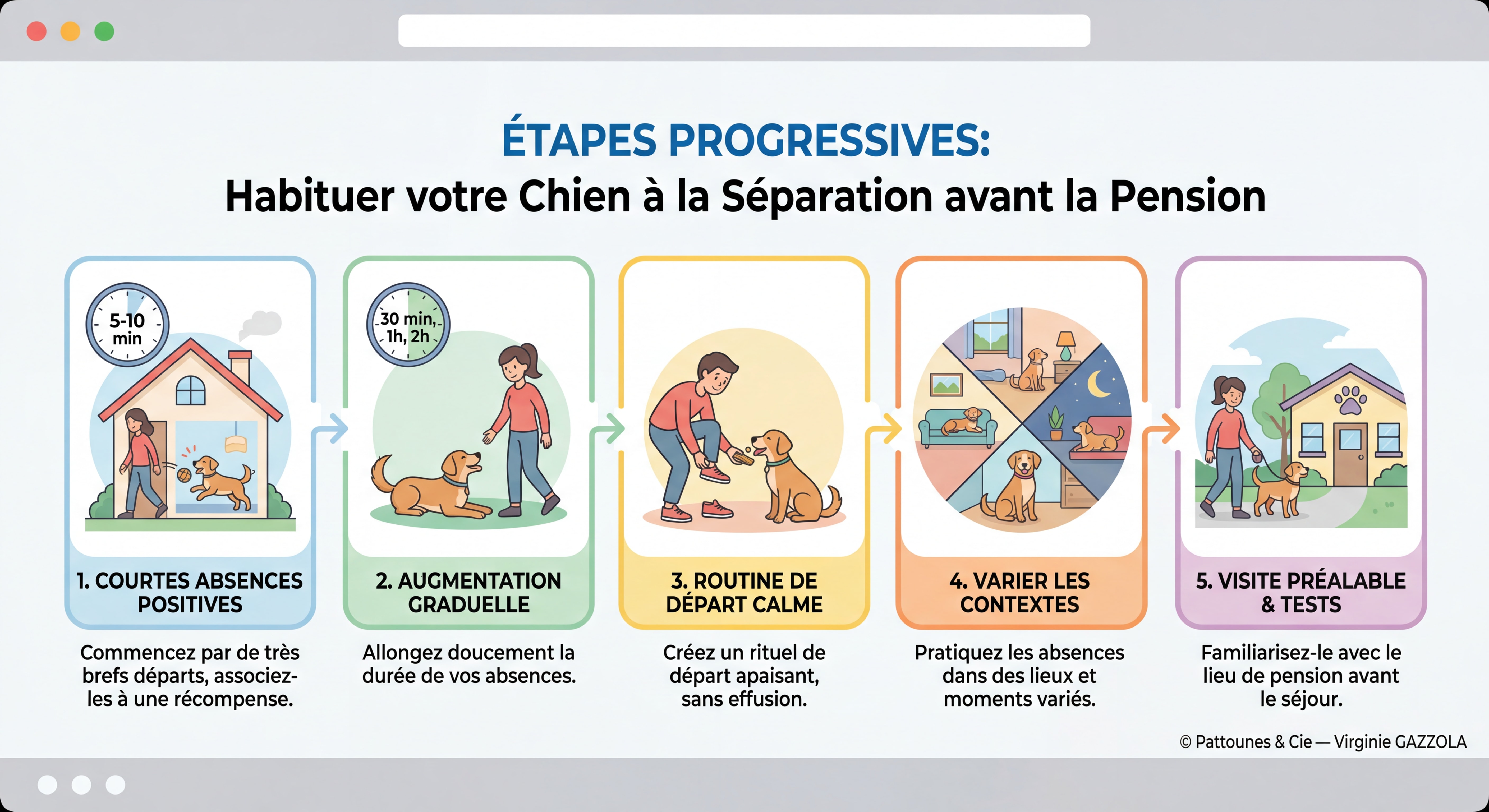 Infographie illustrée et colorée montrant les étapes progressives pour habituer un chien à la séparation avant la pension — © Pattounes & Cie — Virginie GAZZOLA