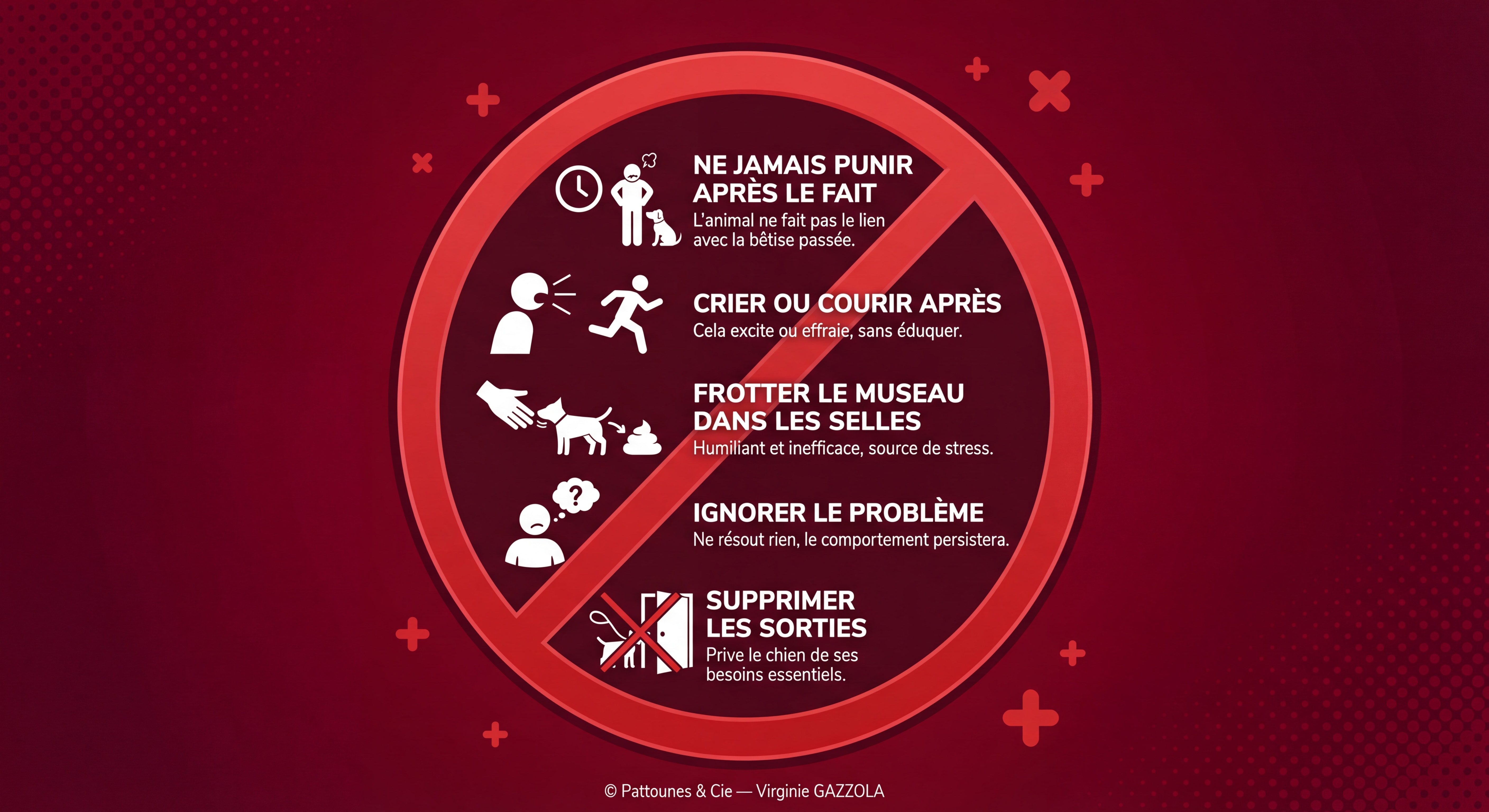 Illustration très détaillée style panneau d'interdiction avec fond rouge et croix rouges, listant les erreurs à éviter : punir le chien après le fait, crier ou courir après le chien, frotter le museau dans les selles, ignorer le problème, supprimer les sorties, avec icônes expressives et textes explicatifs, © Pattounes & Cie — Virginie GAZZOLA