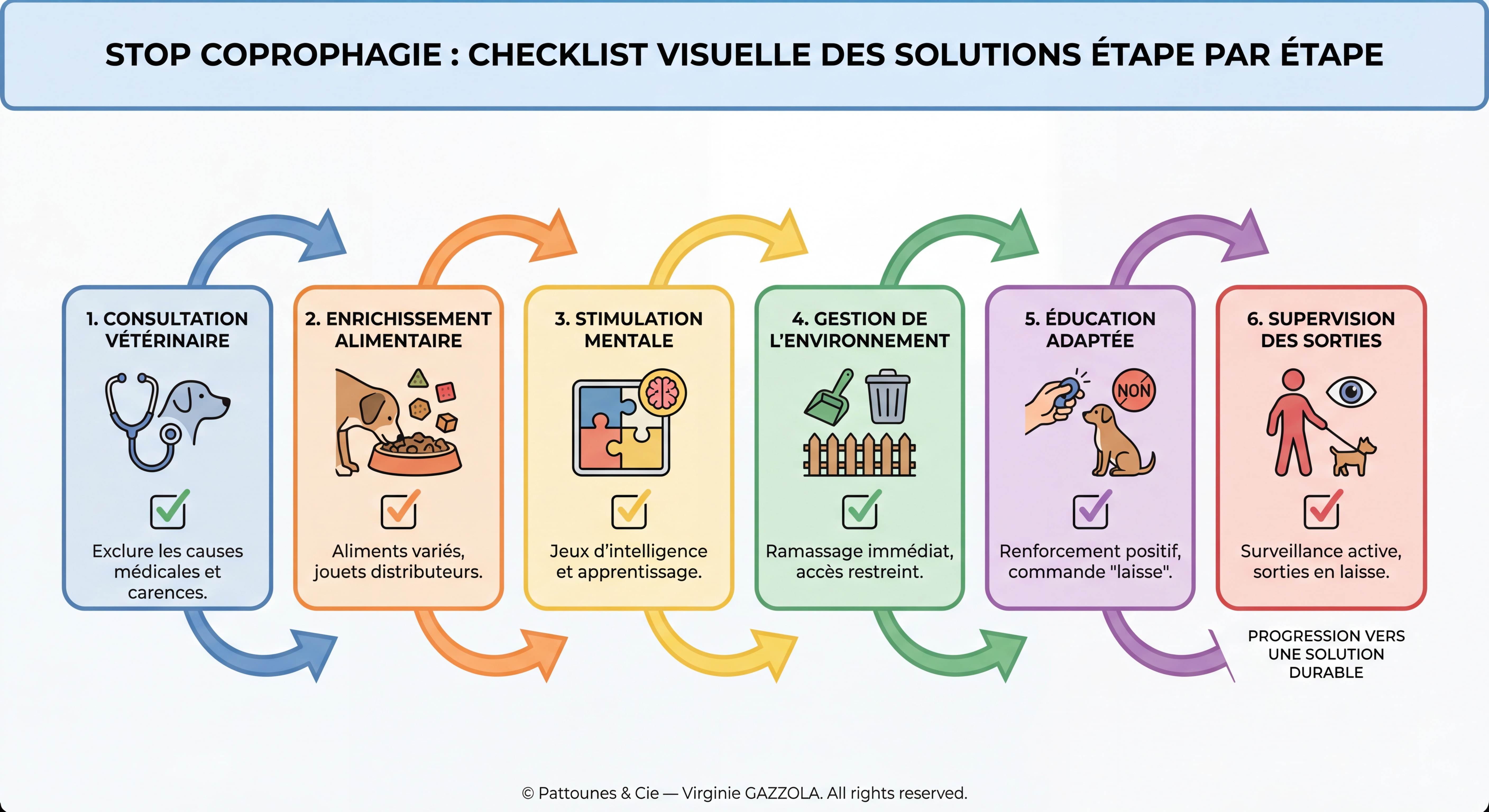 Infographie très détaillée des solutions étape par étape contre la coprophagie : checklist visuelle colorée avec icônes pratiques illustrant chaque solution (consultation vétérinaire, enrichissement alimentaire, stimulation mentale, gestion de l'environnement, éducation adaptée, supervision des sorties), flèches de progression, © Pattounes & Cie — Virginie GAZZOLA
