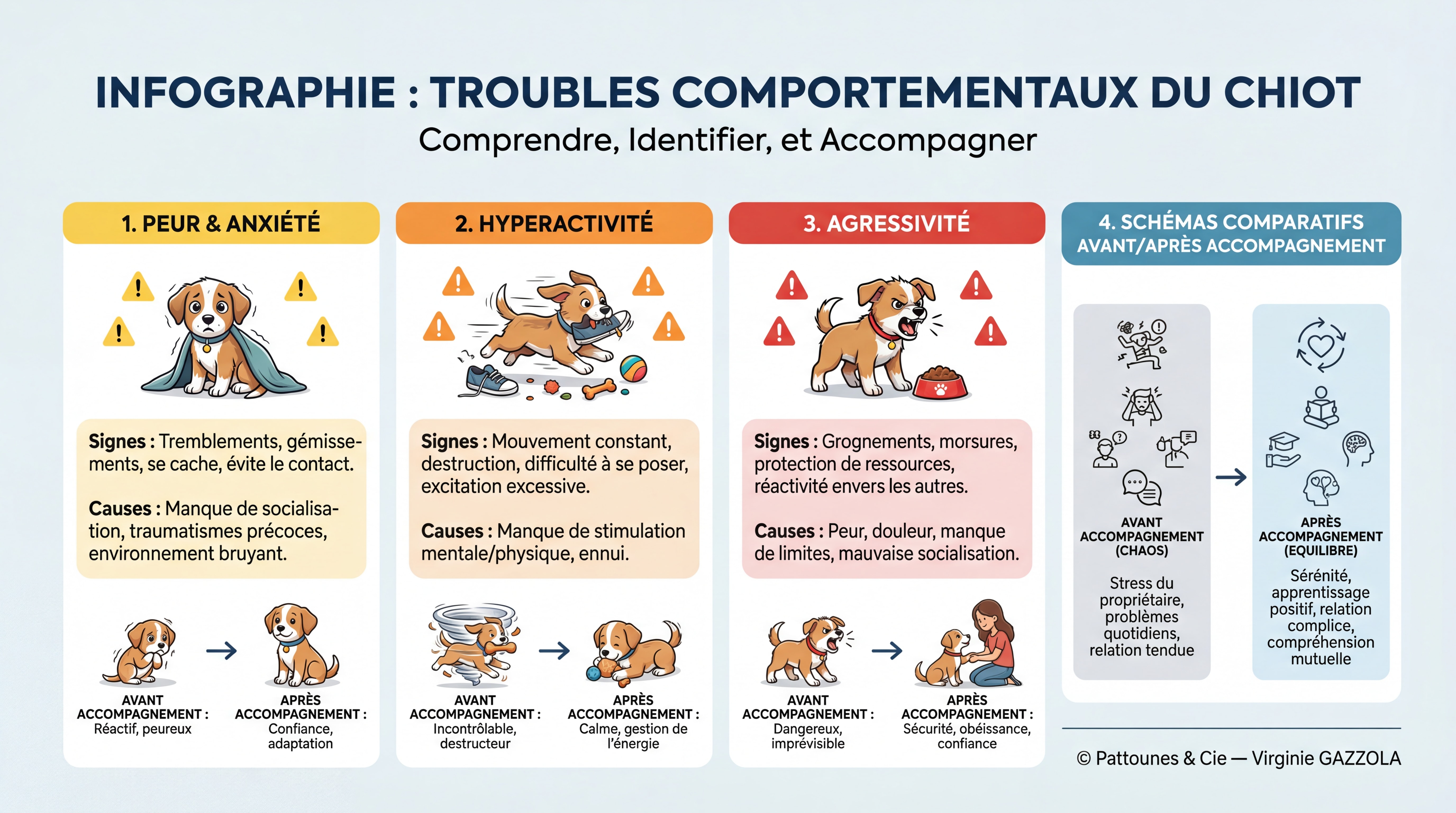 Infographie TRÈS DÉTAILLÉE des troubles comportementaux du chiot — illustrations de chiots expressifs montrant peur, hyperactivité, agressivité, anxiété — icônes d'alerte colorées, textes explicatifs détaillés, schémas comparatifs avant/après accompagnement — © Pattounes & Cie — Virginie GAZZOLA