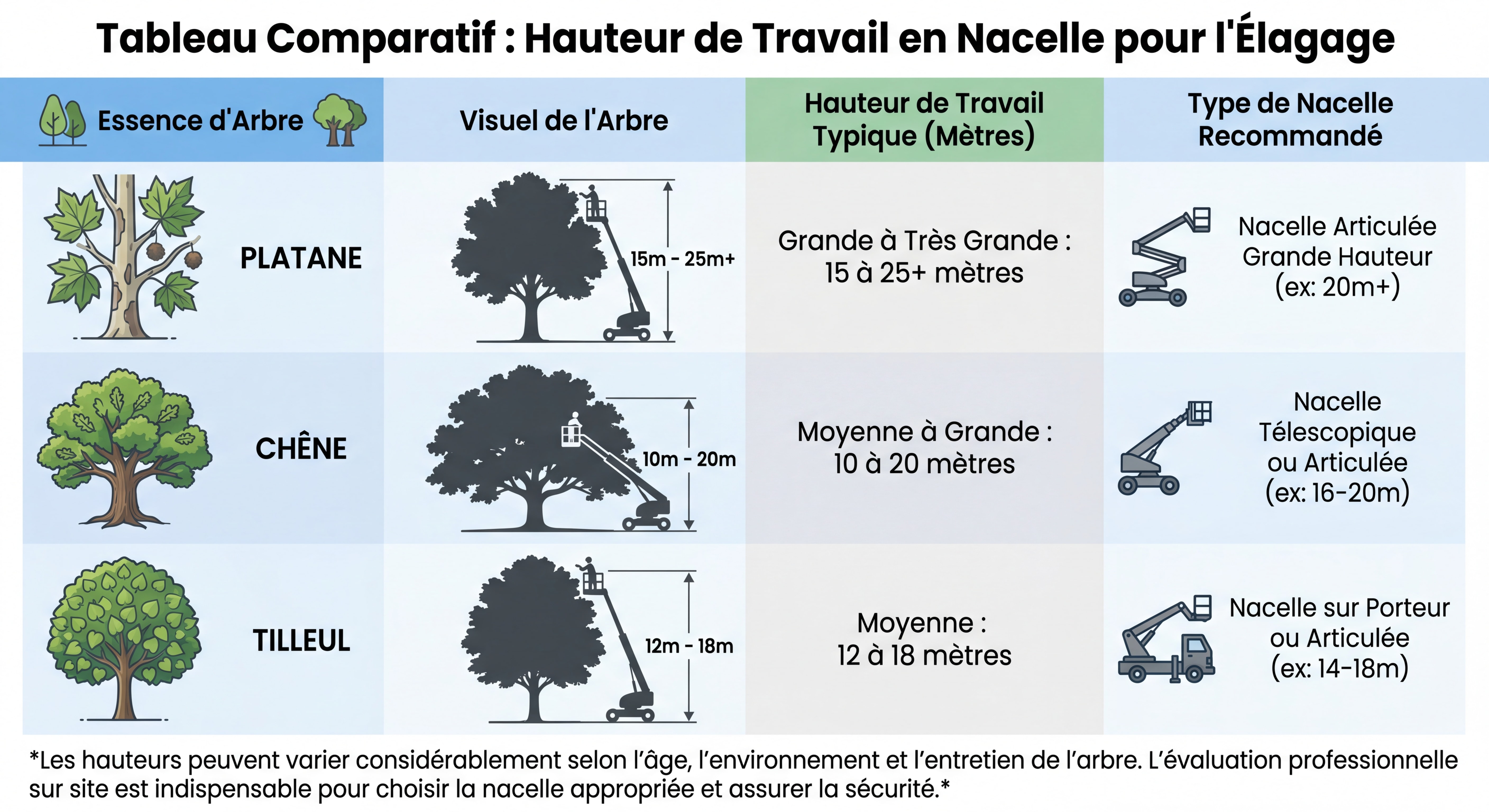 tableau comparatif hauteur de travail nacelle élagage arbre platane chêne tilleul
