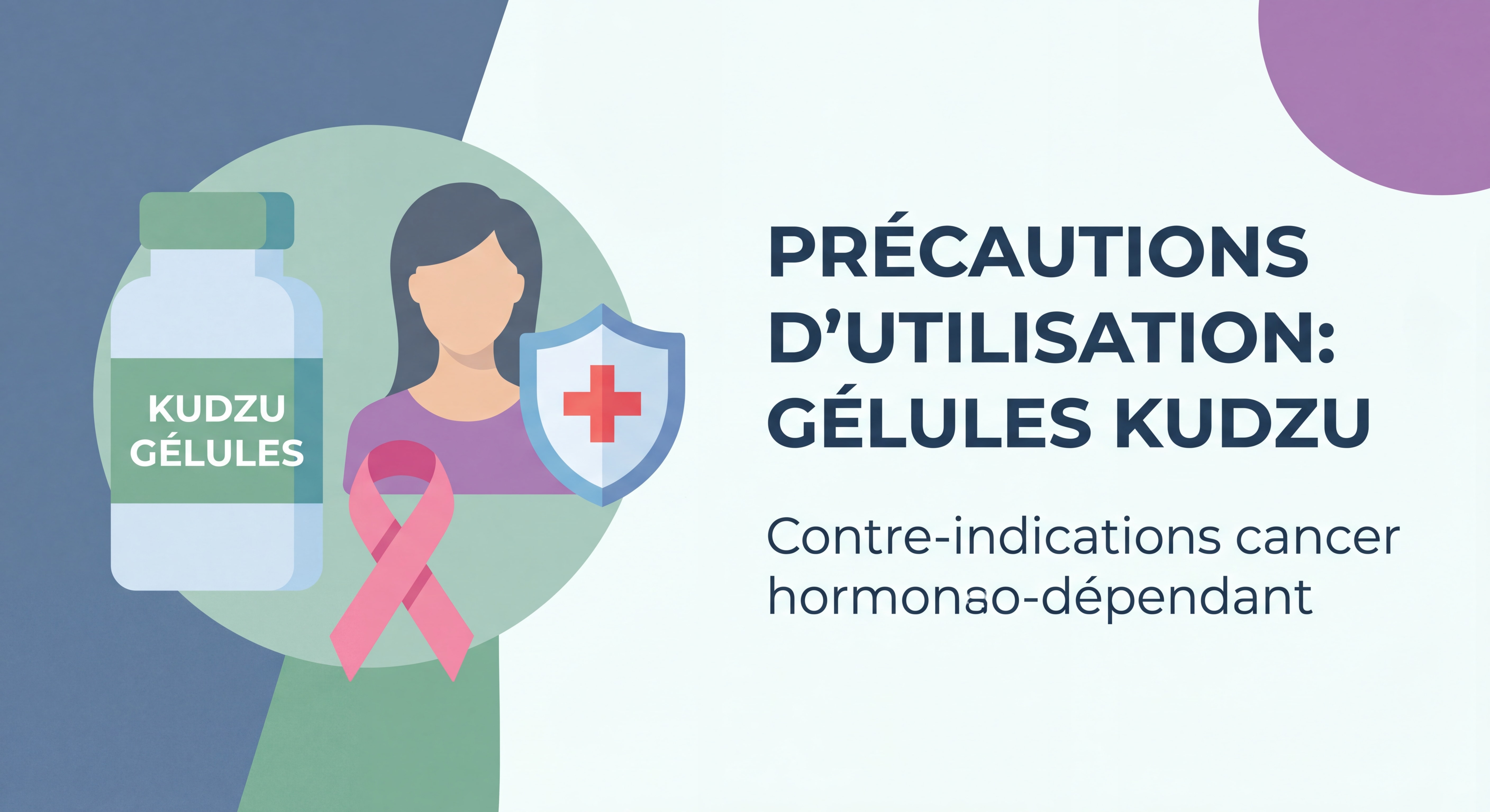 Précautions d'utilisation gélules kudzu complément alimentaire contre-indications cancer hormono-dépendant femme santé