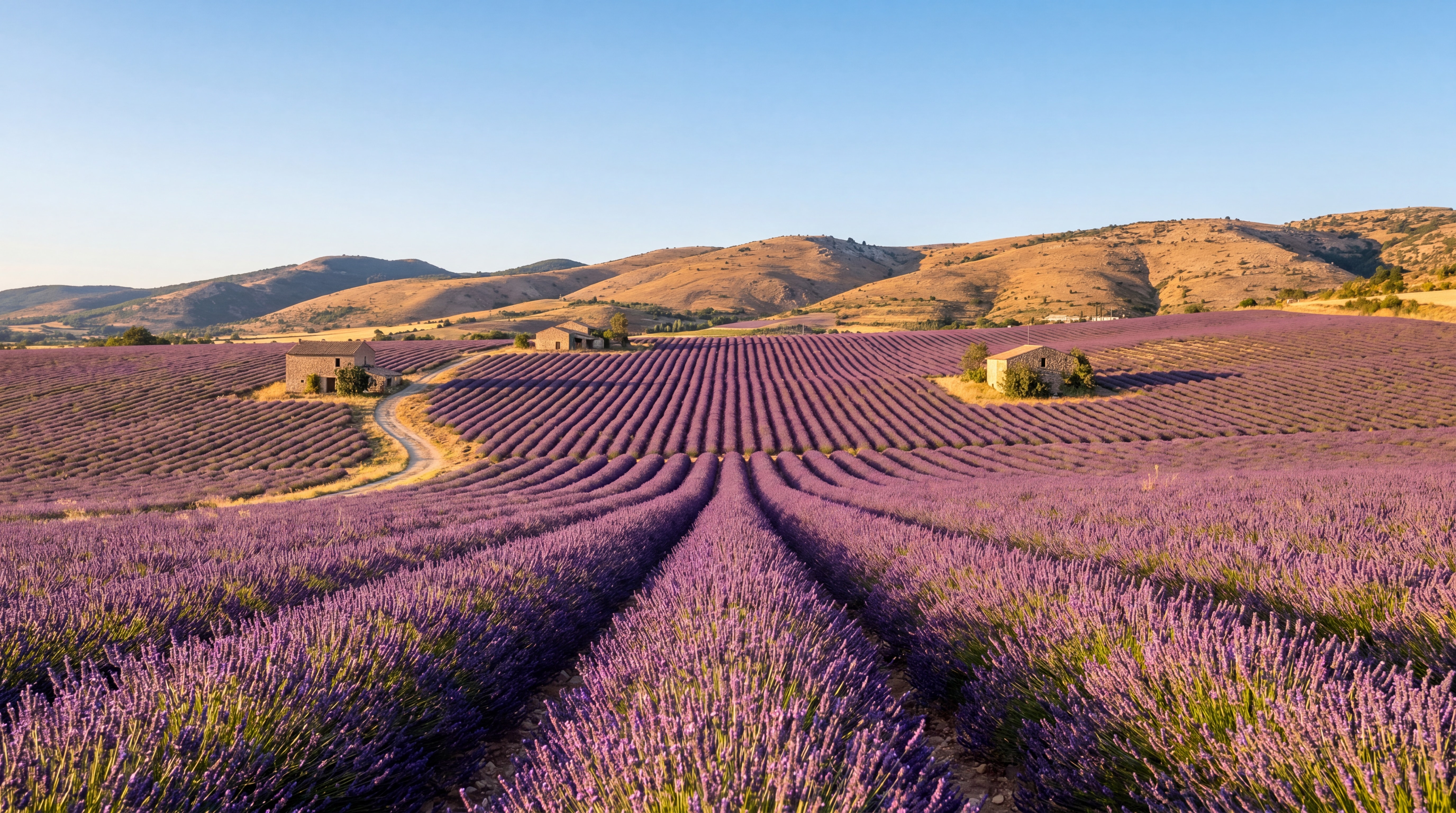 S'installer dans la Drôme provençale