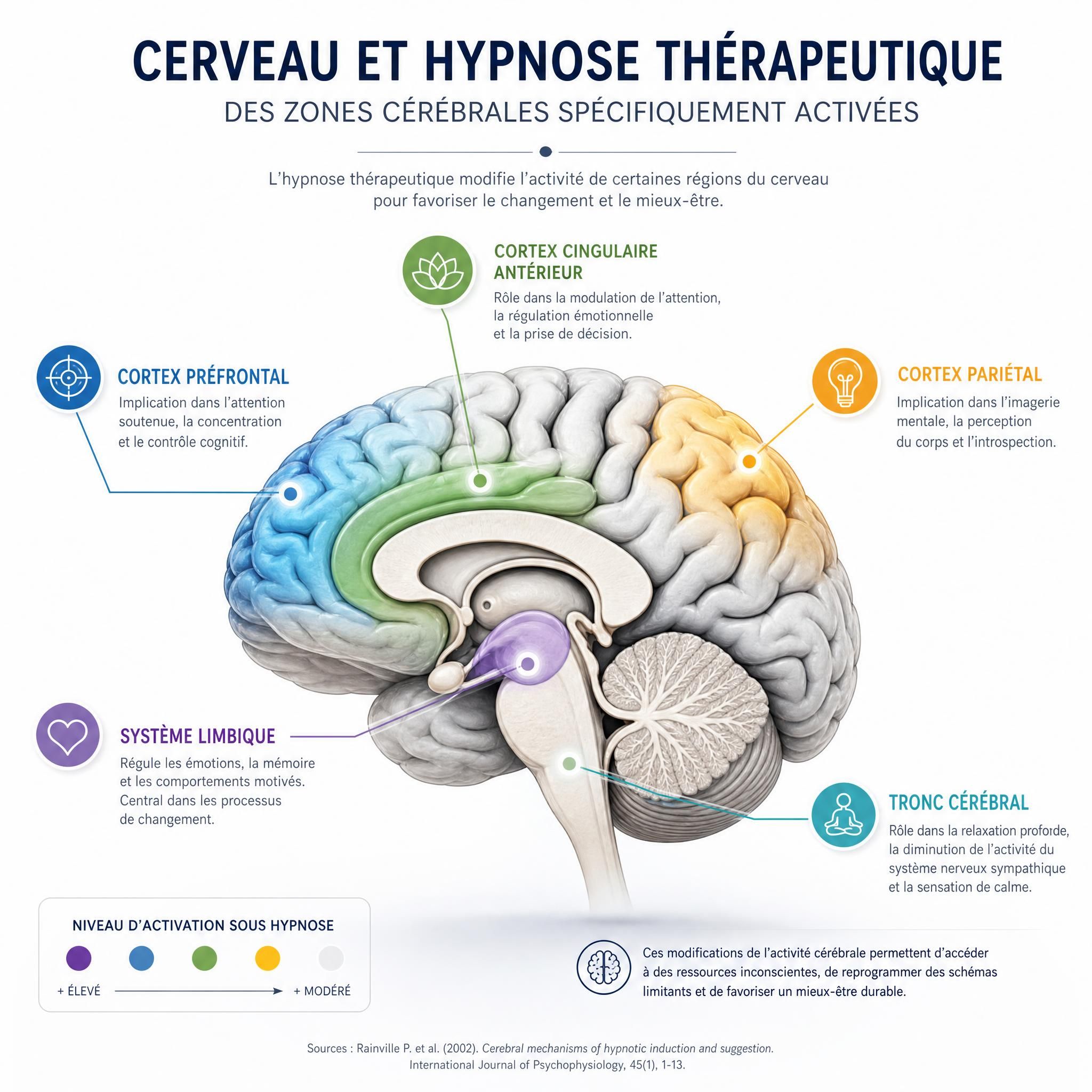 représentation schématique du cerveau avec zones d'activation sous hypnose thérapeutique, illustration neuroscientifique