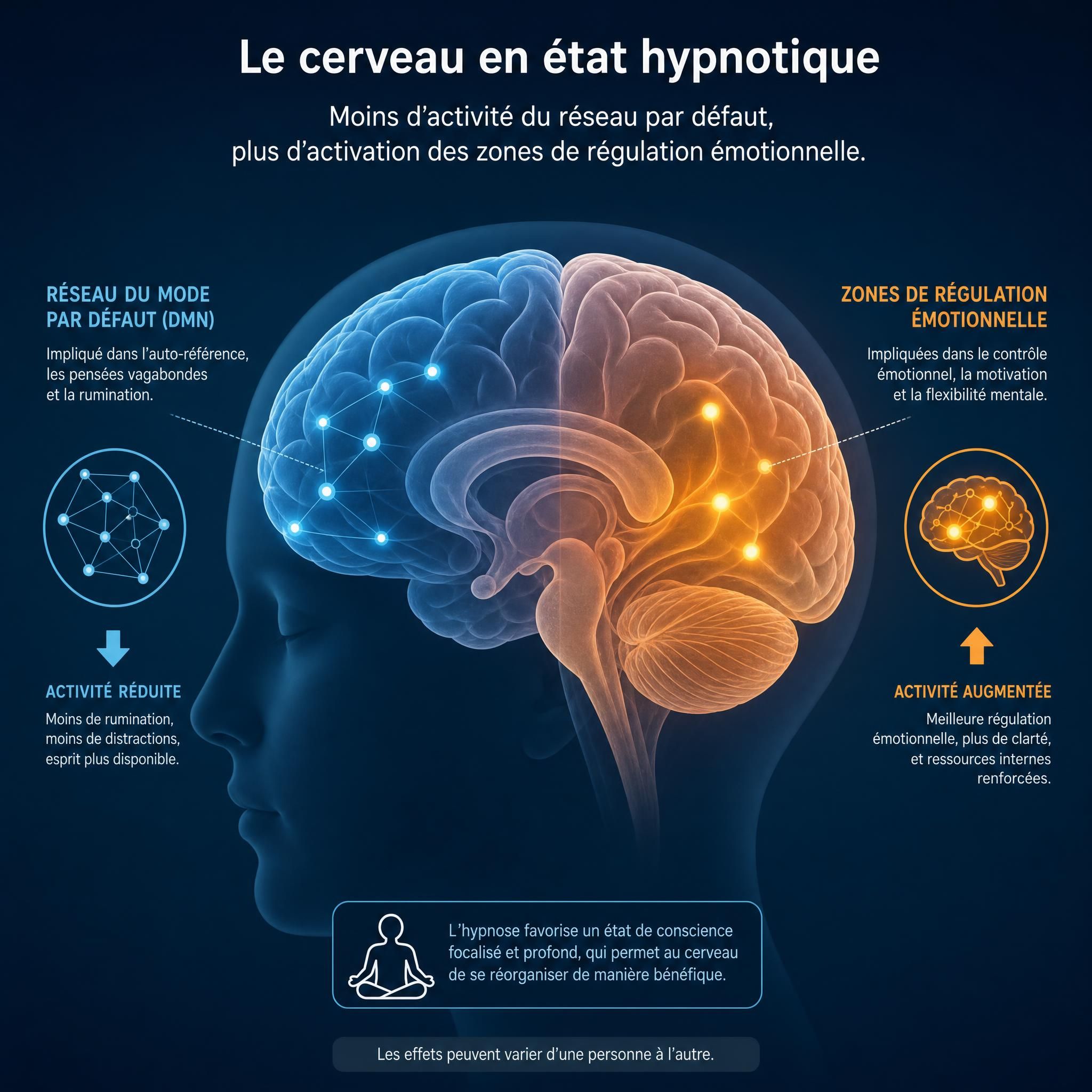 Illustration du cerveau en état hypnotique montrant la réduction de l'activité du réseau mode par défaut et l'activation des zones de régulation émotionnelle