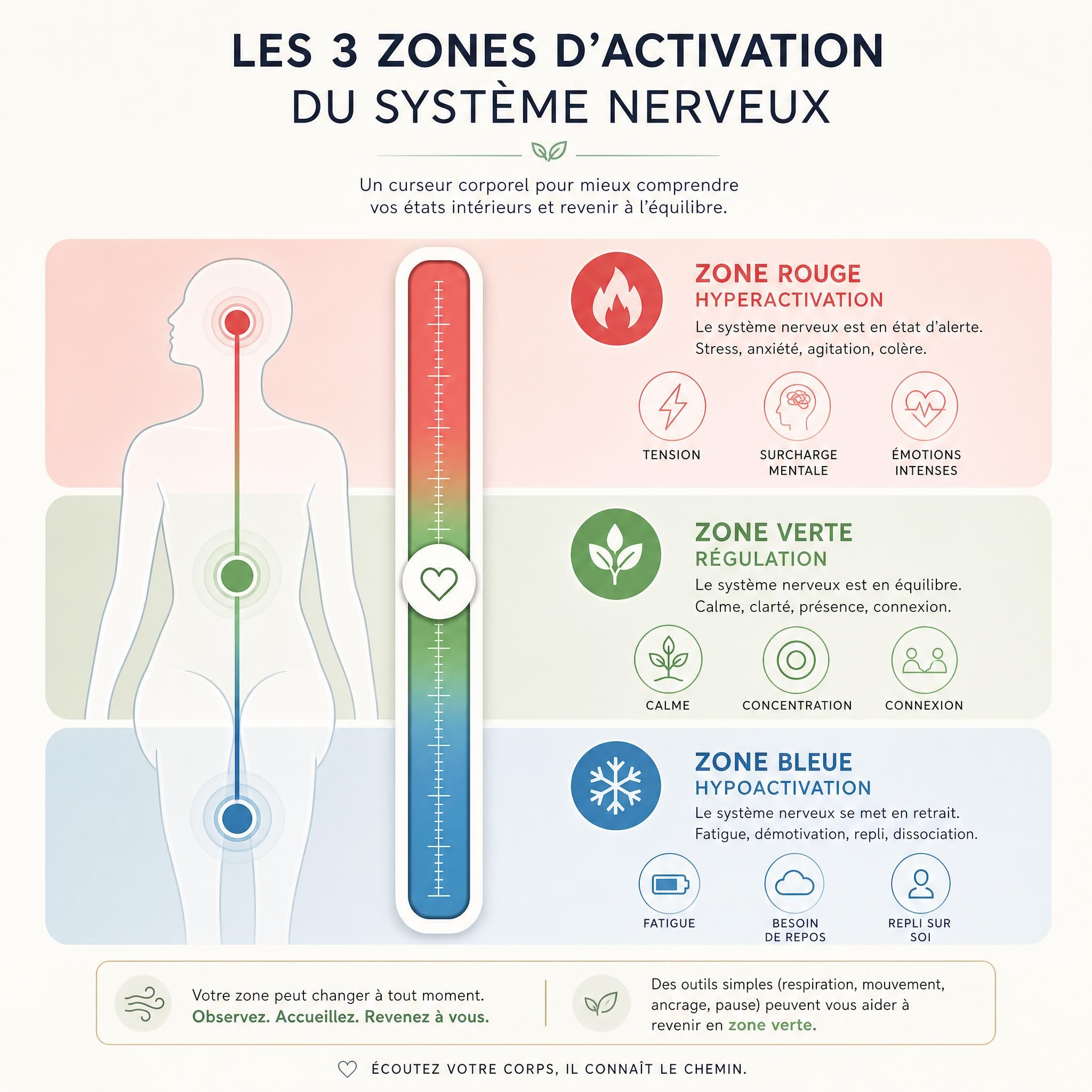 Schéma illustratif des trois zones d'activation du système nerveux — rouge (hyperactivation), verte (régulation), bleue (hypoactivation) — représentées comme un curseur corporel avec des icônes apaisantes