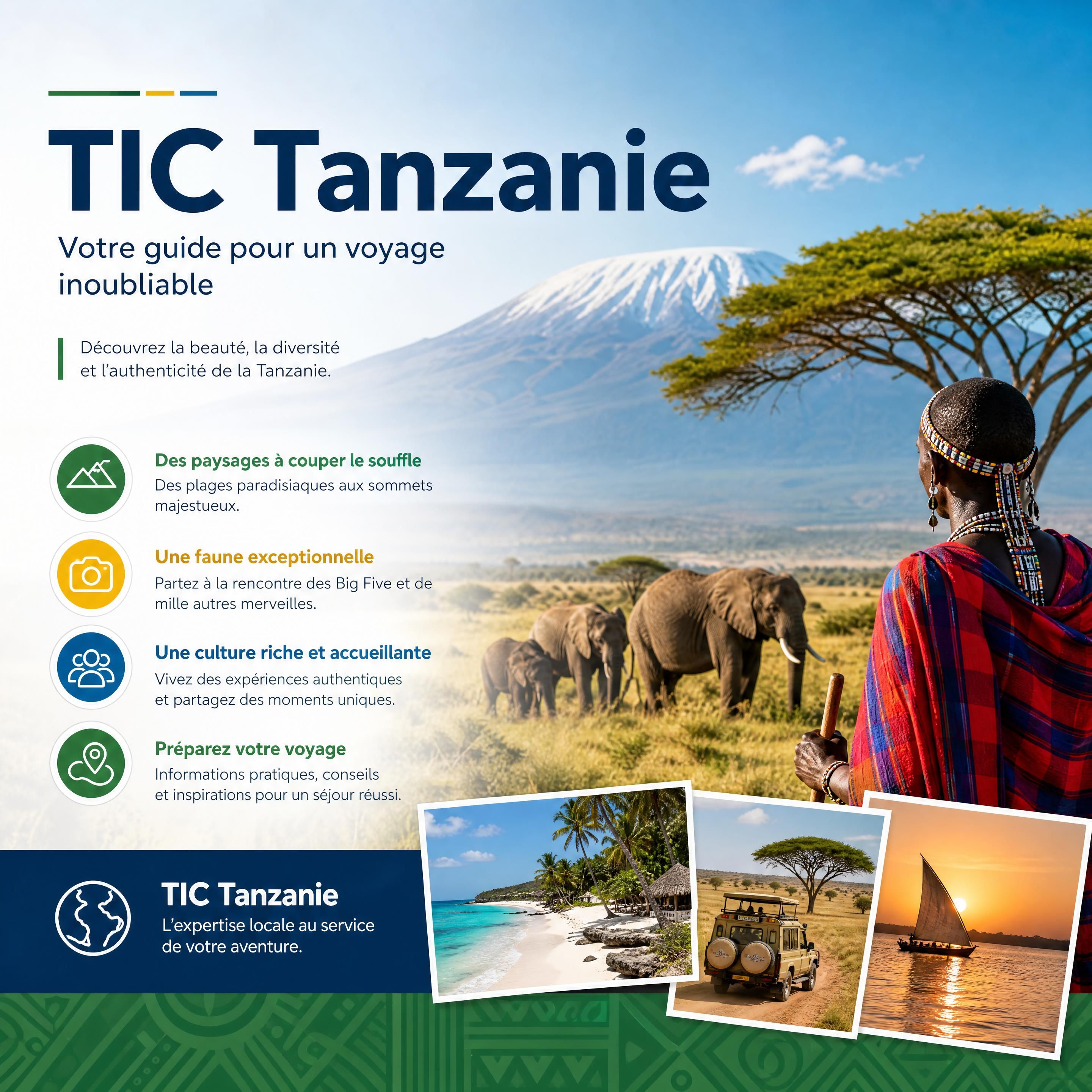 TIC Tanzanie